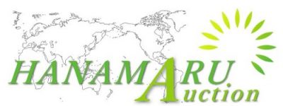 hanamaru-jp-logo hanamaru-jp-logo