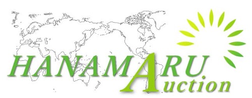 hanamaru-jp-logo